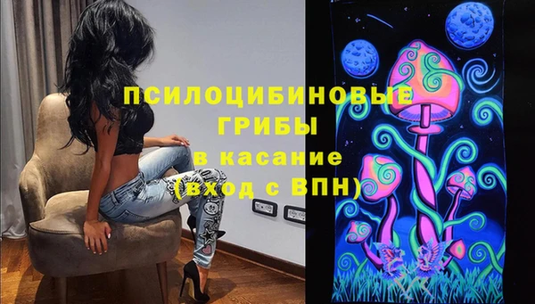 а пвп мука Богданович
