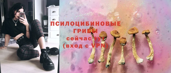 кокс Богородицк