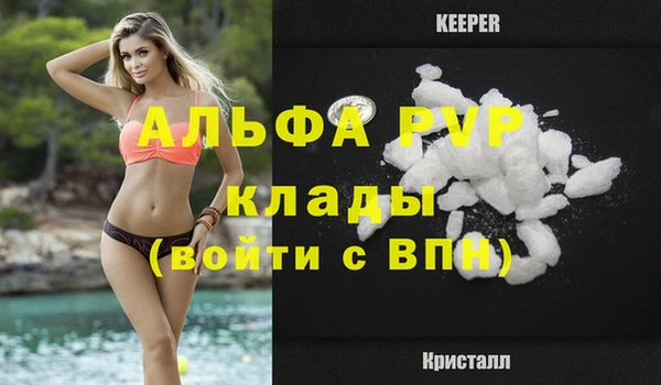 кокс Богородицк