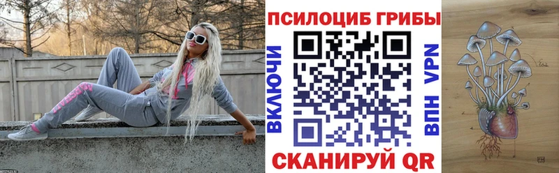 Псилоцибиновые грибы GOLDEN TEACHER  купить   Верея 